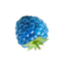 Floating Element 6